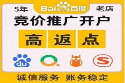深度解析：百度推广代运营的成功要素